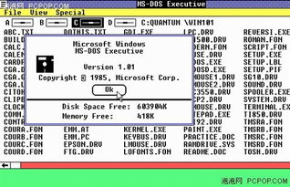 书生剑客 Microsoft Word的传奇发展历程